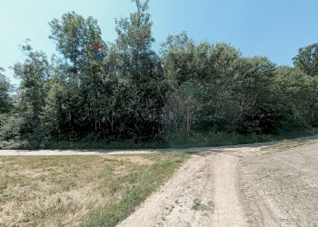 Giardino - Terreno agricolo Str. di Campagnola
15, Frossasco - foto 4