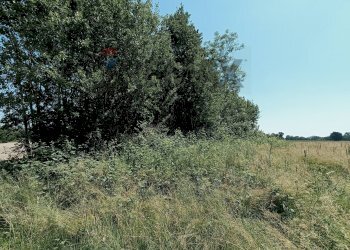 Non correlato - Terreno agricolo Str. di Campagnola
15, Frossasco - foto 5
