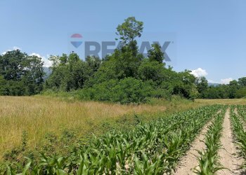 Giardino - Terreno agricolo Str. di Campagnola
15, Frossasco - foto 8