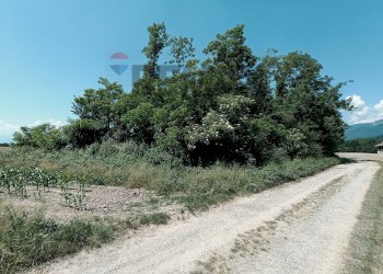 Giardino - Terreno agricolo Str. di Campagnola
15, Frossasco - foto 10