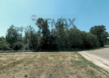 Giardino - Terreno agricolo Str. di Campagnola
15, Frossasco - foto 12