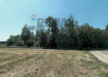 Giardino - Terreno agricolo Str. di Campagnola
15, Frossasco - foto 13