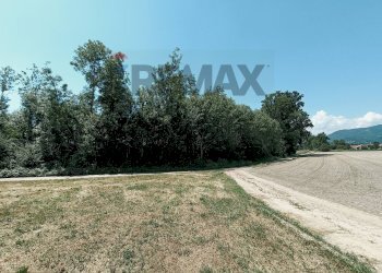Giardino - Terreno agricolo Str. di Campagnola
15, Frossasco - foto 14