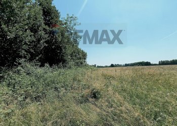 Non correlato - Terreno agricolo Str. di Campagnola
15, Frossasco - foto 18