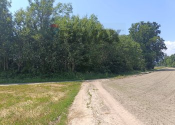Giardino - Terreno agricolo Str. di Campagnola
15, Frossasco - foto 19