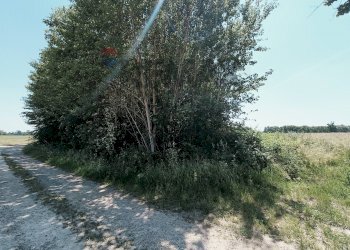 Vista dell\'acqua - Terreno agricolo Str. di Campagnola
15, Frossasco - foto 20