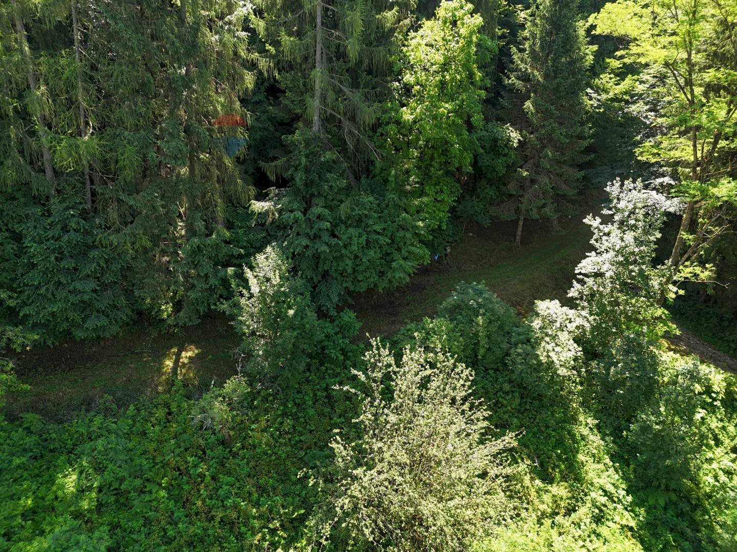 Giardino - Baita Loc. Faller
 
Snc, Sovramonte - planimetria 1