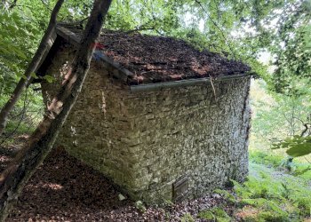 Casa all\'aperto - Baita Loc. Faller
 
Snc, Sovramonte - foto 8