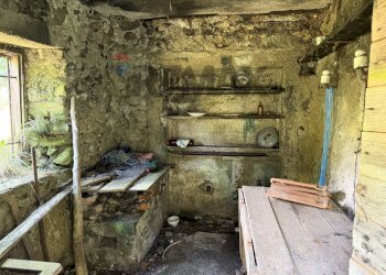 Cantina - Baita Loc. Faller
 
Snc, Sovramonte - foto 36