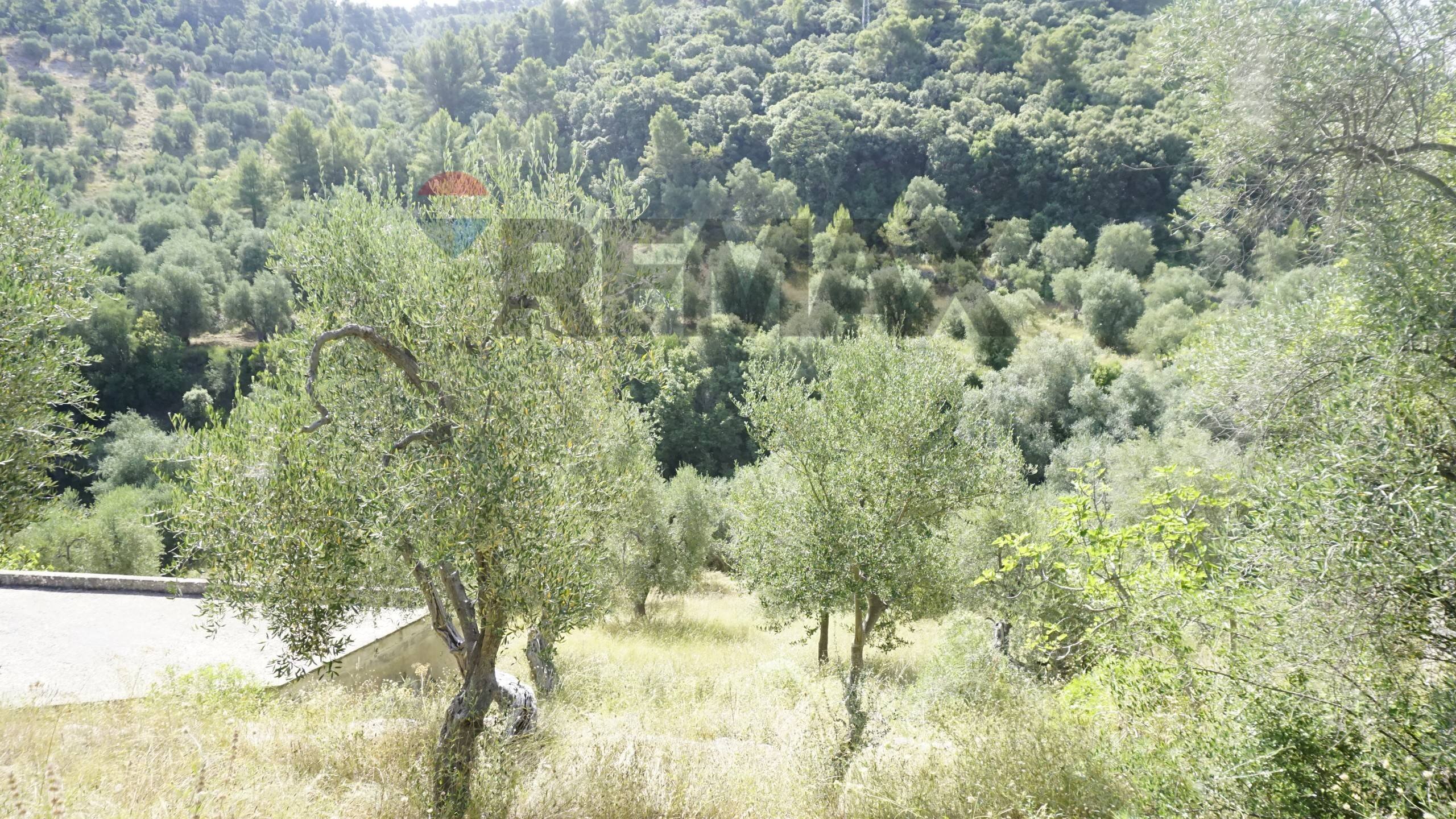Non correlato - Villa Shainti Home
 
snc, Vieste - photo 3