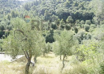 Non correlato - Villa Shainti Home
 
snc, Vieste - photo 3