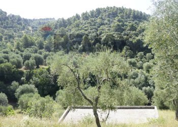 Non correlato - Villa Shainti Home
 
snc, Vieste - photo 6