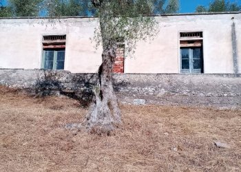 Casa all\'aperto - Villa Shainti Home
 
snc, Vieste - photo 14