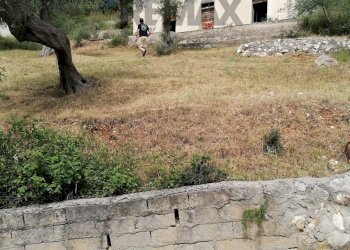 Giardino - Villa Shainti Home
 
snc, Vieste - photo 15