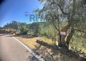 Non correlato - Villa Shainti Home
 
snc, Vieste - photo 25
