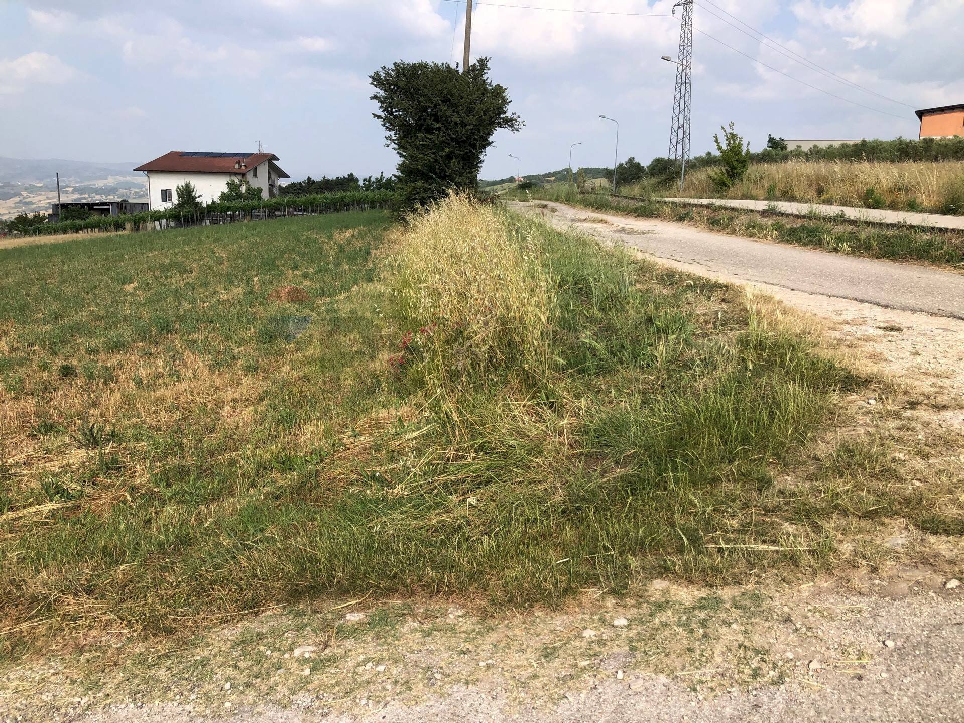 Giardino - Terreno edificabile contrada pescare
 
snc, Fragneto Monforte - foto 2