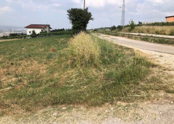 Giardino - Terreno edificabile contrada pescare
 
snc, Fragneto Monforte - foto 2