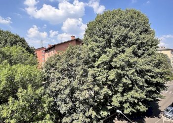 Foto 18 - Three-room apartment via Fiume, Saronno - photo 17