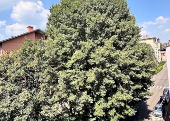 Foto 31 - Three-room apartment via Fiume, Saronno - photo 30