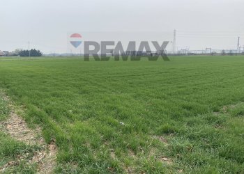 Terreno - Farm Strada Baganzola
10, Parma - photo 10