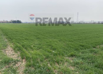 Terreno - Farm Strada Baganzola
10, Parma - photo 11