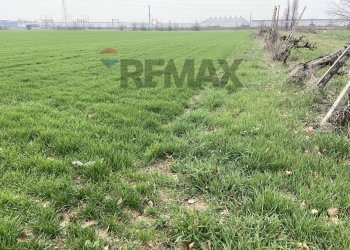 Terreno - Farm Strada Baganzola
10, Parma - photo 12