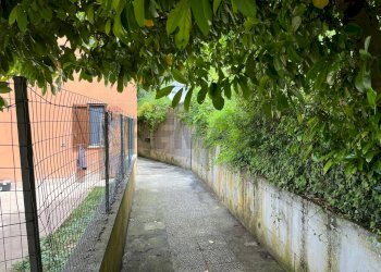 Giardino - Quadrilocale Via S. Potenziana
 
snc, Picinisco - foto 55