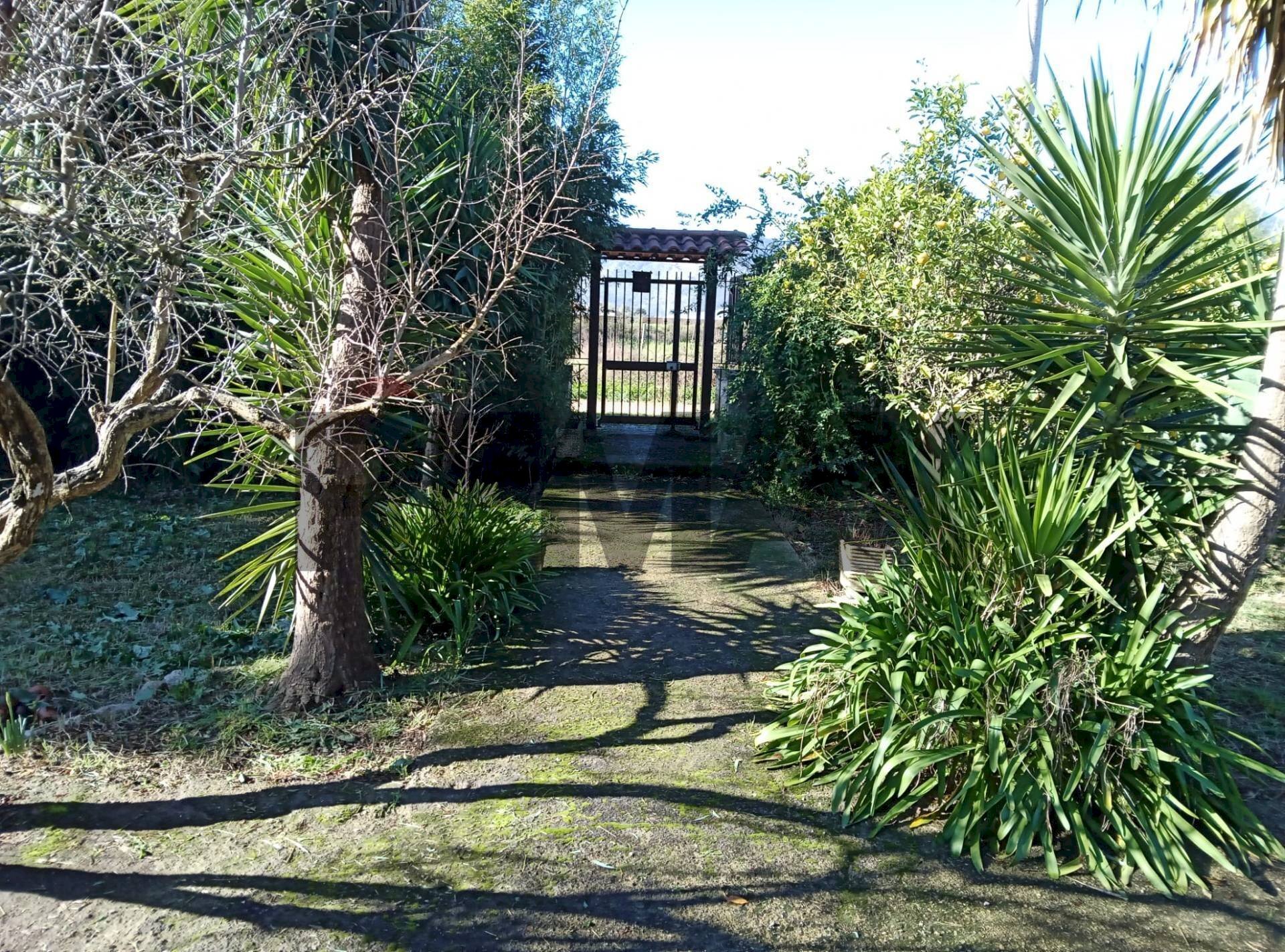 Giardino - Villa Via Portaturo
 
snc, Fondi - photo 1