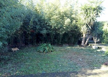 Giardino - Villa Via Portaturo
 
snc, Fondi - photo 13