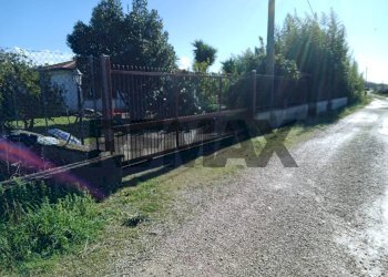Giardino - Villa Via Portaturo
 
snc, Fondi - photo 19
