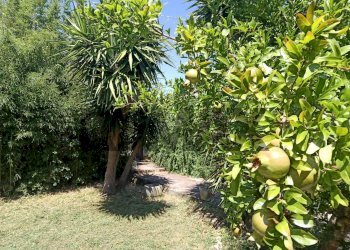 Giardino - Villa Via Portaturo
 
snc, Fondi - photo 47