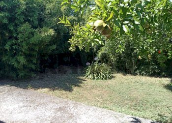 Giardino - Villa Via Portaturo
 
snc, Fondi - photo 49