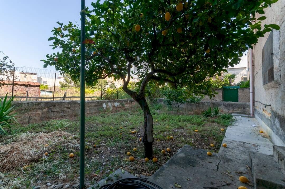 Giardino - Casa indipendente via Mulinello
 
65, Ficarazzi - foto 2