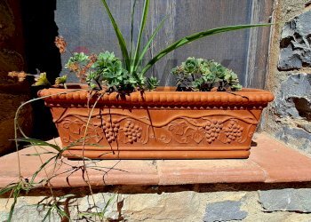 Dettagli - Rustic Mandra Chiusilla
 
s/n, Collesano - photo 19