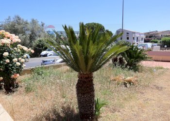 Giardino - Appartamento Via Palmiro Togliatti
 
8, Ragusa - foto 17