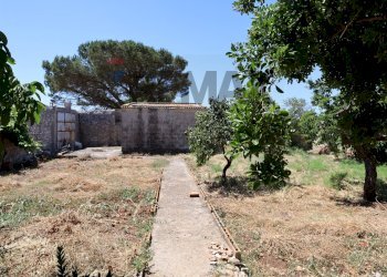 Giardino - Rustico C.da Mossebi
 
snc, Ragusa - foto 3