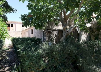 Giardino - Rustico C.da Mossebi
 
snc, Ragusa - foto 5