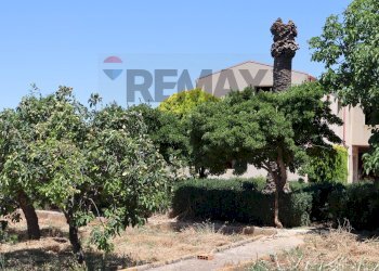 Giardino - Rustico C.da Mossebi
 
snc, Ragusa - foto 4