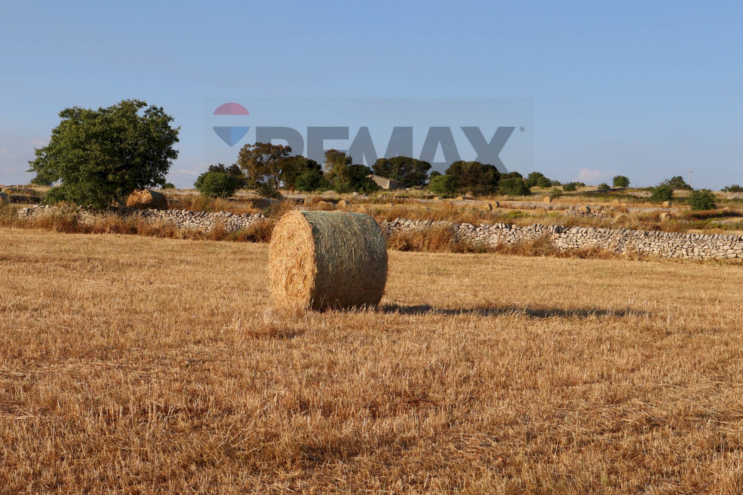Giardino - Agricultural land Via Mosebbi
 
snc, Ragusa - photo 2