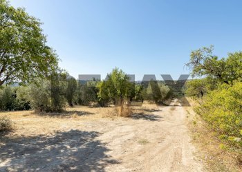 Giardino - Building land sp 35 lido di noto
km 10, Noto - photo 13