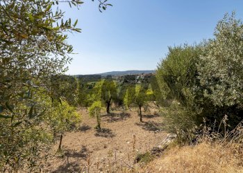 Vista delle montagne - Building land sp 35 lido di noto
km 10, Noto - photo 14