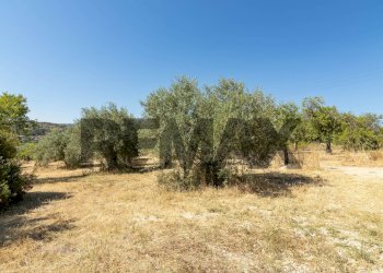 Giardino - Building land sp 35 lido di noto
km 10, Noto - photo 16