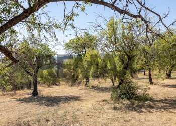 Giardino - Building land sp 35 lido di noto
km 10, Noto - photo 17