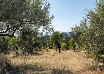 Vista delle montagne - Building land sp 35 lido di noto
km 10, Noto - photo 18
