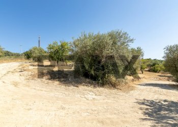 Giardino - Building land sp 35 lido di noto
km 10, Noto - photo 21