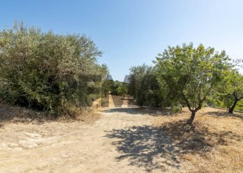 Giardino - Building land sp 35 lido di noto
km 10, Noto - photo 23