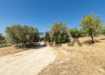 Giardino - Building land sp 35 lido di noto
km 10, Noto - photo 26