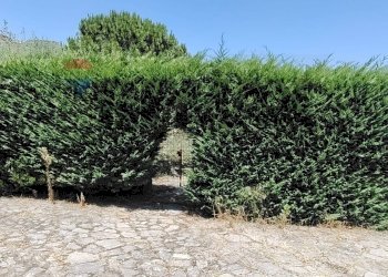 Giardino - Villa contrada franco
 
1, Termini Imerese - photo 11