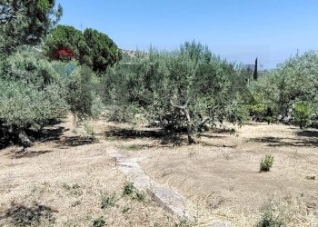 Giardino - Villa contrada franco
 
1, Termini Imerese - photo 15
