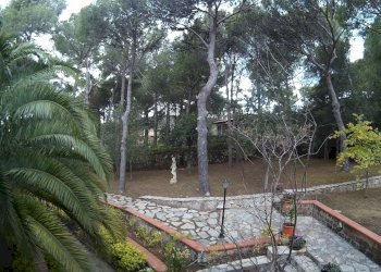 Foto 37 - Villa Via delle Eriche, Livorno - foto 37